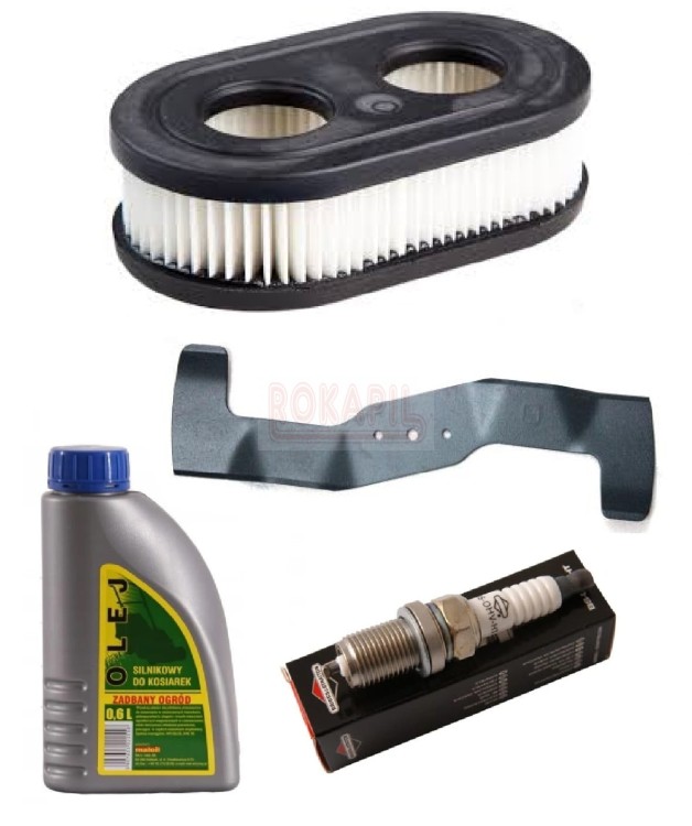 silnik 550e briggs&amp;stratton.jpg