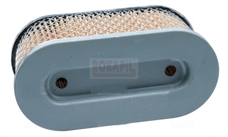 Filtr powietrza 7, 8, 11 HP, 5.5 HP Vanguard OHV, modele 10, pionowy wał, silnik Briggs&Stratton - 491950 - ZAMIENNIK! .jpg